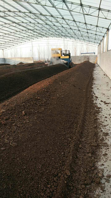 鸡粪发酵有机肥的市场前景与生产策略分析