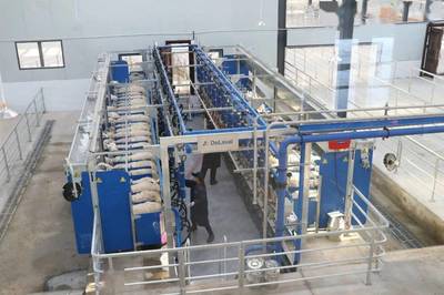 聚力奶绵羊发展，培育“乳肉”兼用新品种，助力肥料生产新篇章